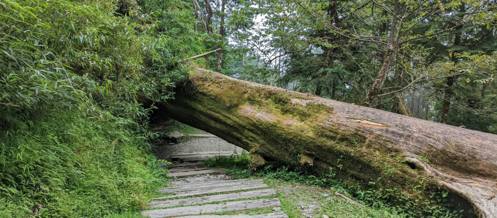 Adapt: Responding with Flexibility and Faith